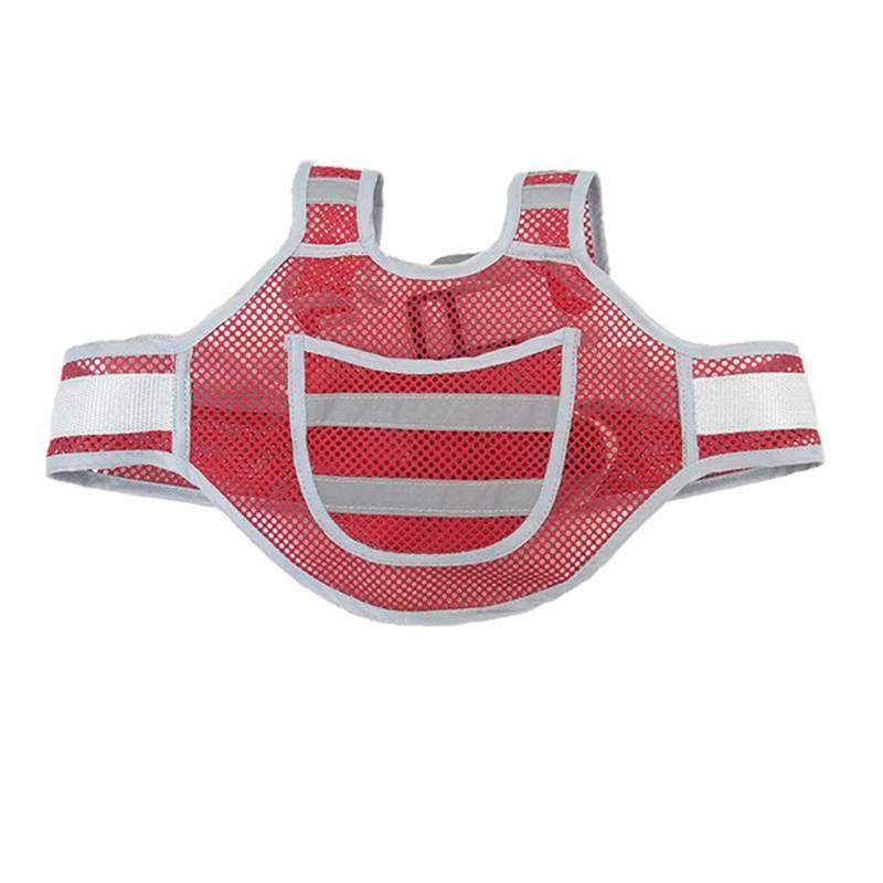 Baby Harness - Net - Red