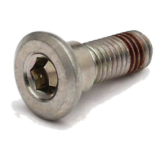 Brake disc bolt